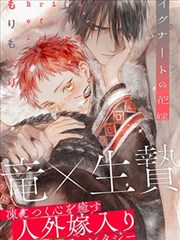 《琥珀色的观测者》标本封面